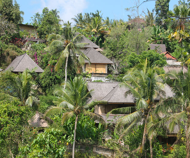 viggio Indonesia Ubud Bali