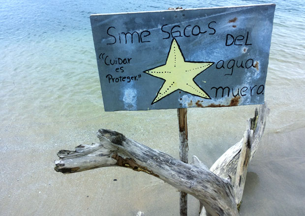 playa-estrellea-Bocas-del-toro