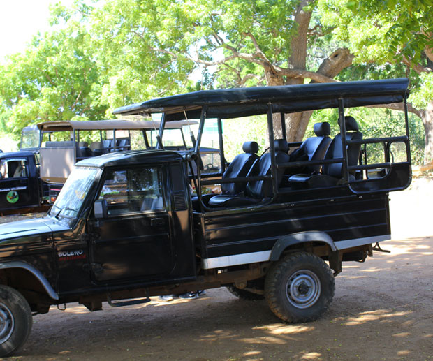 safari-in-sri-lanka-jeep-yala-national-park