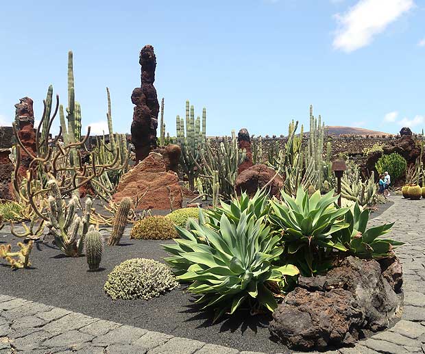 jardin de cactus cesar manrique